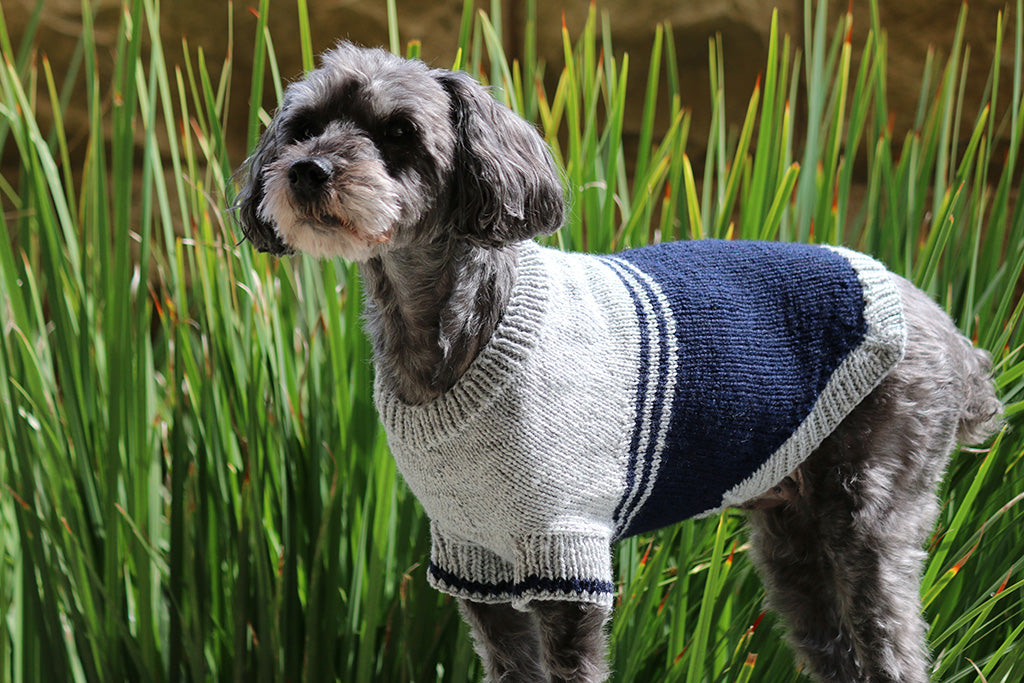 Izzy Knits A Dog Sweater that Actually Fits Blog Make Made Fiber Crafts