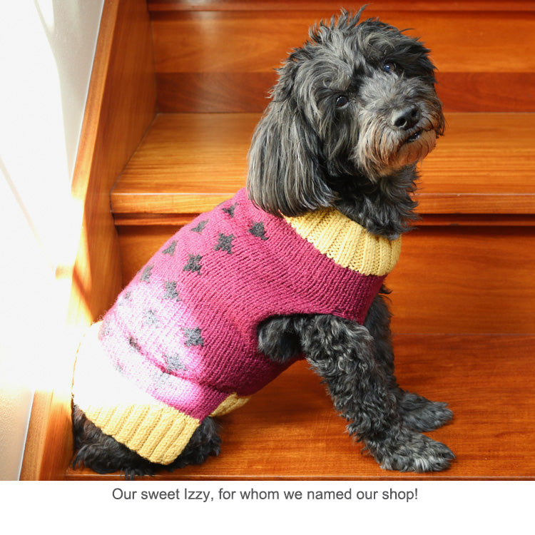 Our Sweet Izzy (cute dog) wearing her Izzy Knits Sweater - what the pin design and shop name were based on