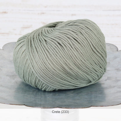 One ball of Jo Sharp's Soho Summer Cotton DK Yarn in color #233 - Crete