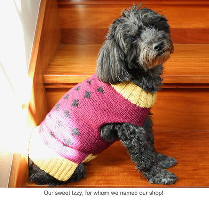 Our Sweet Izzy (cute dog) wearing her Izzy Knits Sweater - what the pin design and shop name were based on