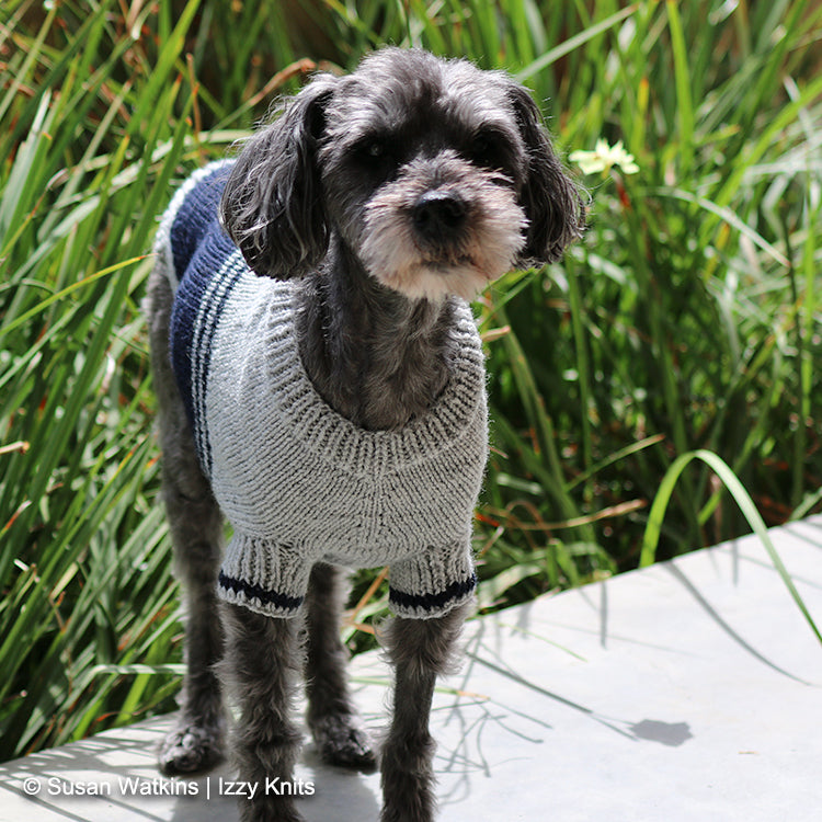 Front view of dog wearing I'm a Fan! Dog Sweater, made from Colorblock Izzy Knits Exclusive Knit Pattern