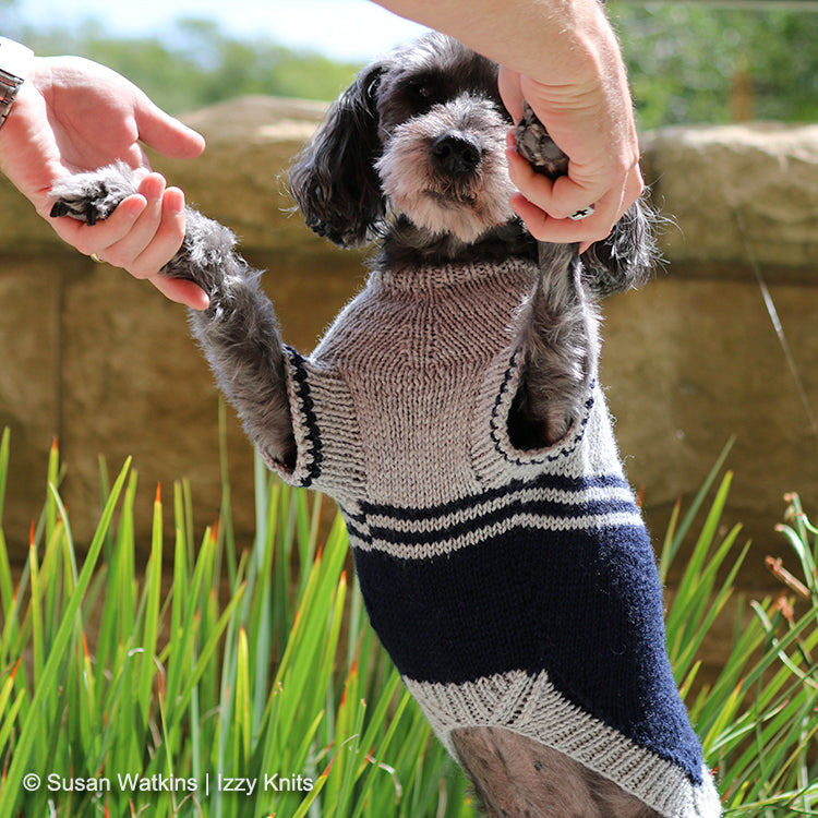 Underside view of dog wearing I'm a Fan! Dog Sweater, made from Colorblock Izzy Knits Exclusive Knit Pattern