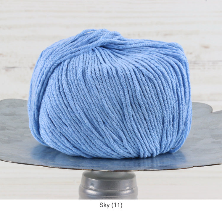 Ball of Trendsetter's Worsted Ecotone Yarn in color #11 - Sky 